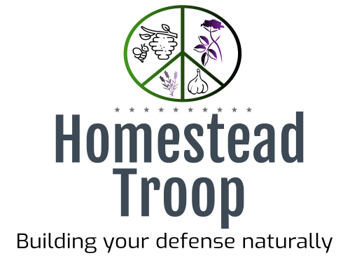 Homestead Troop